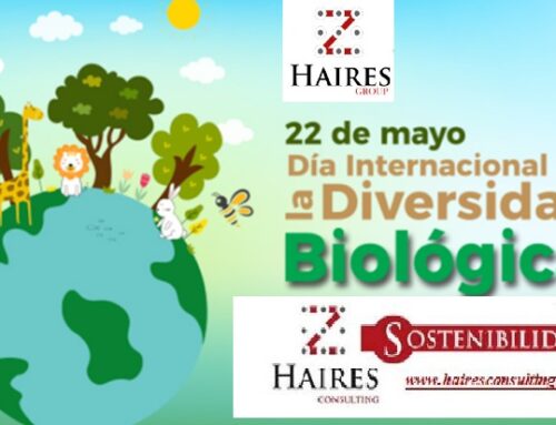 HOY TOCA CELEBRAR EN TODAS SUS FORMAS: Día Internacional de la Diversidad Biológica.