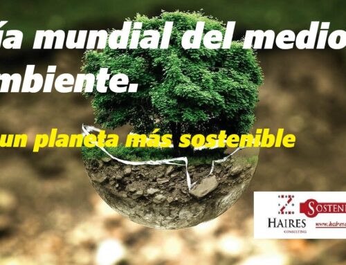 Hoy celebramos el Día Mundial del Medio Ambiente 2025