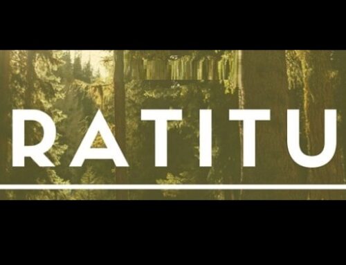 Reflexiones  Estoicas: la Importancia de la Gratitud